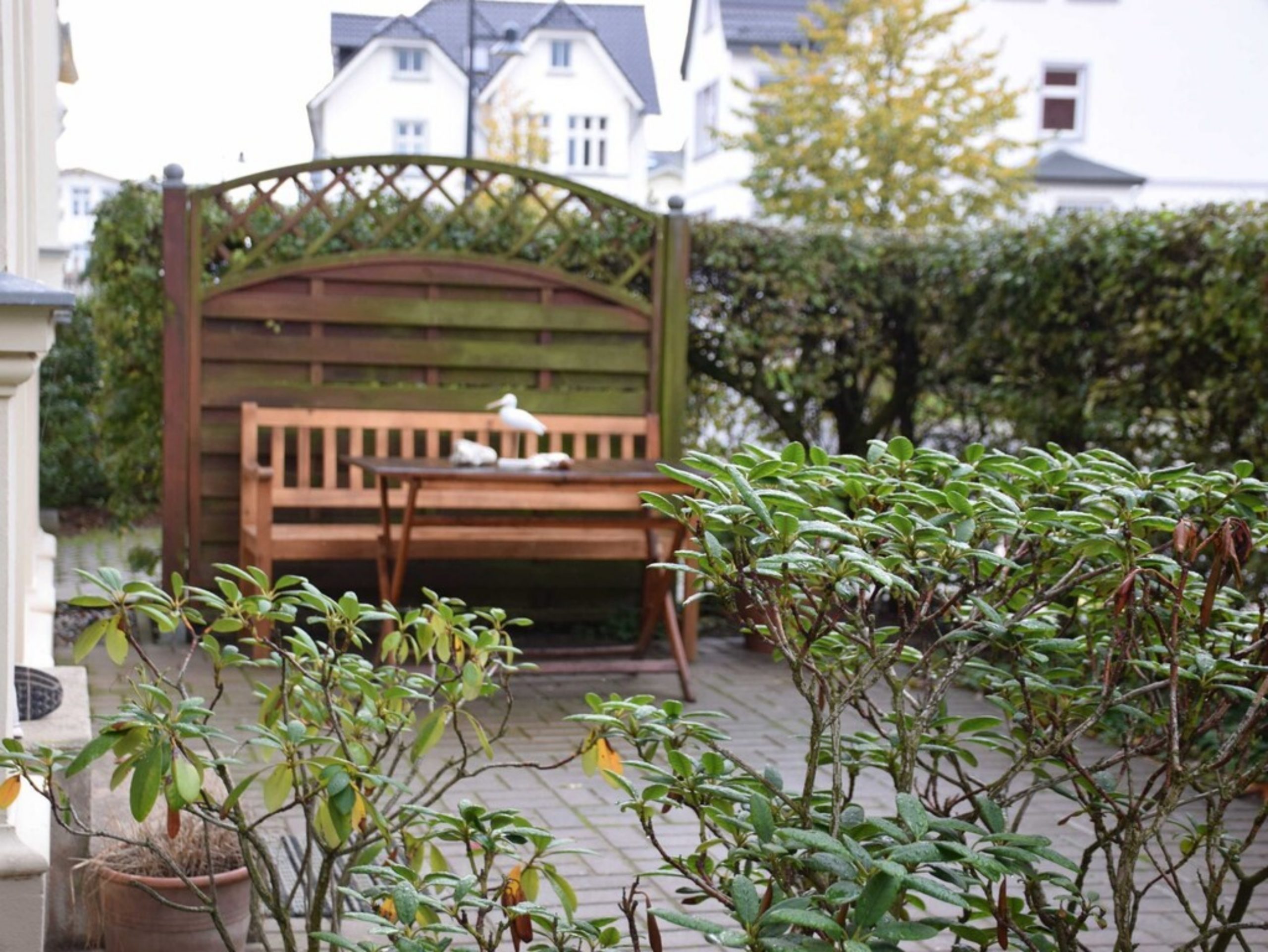 lorem ipsum dolor sit