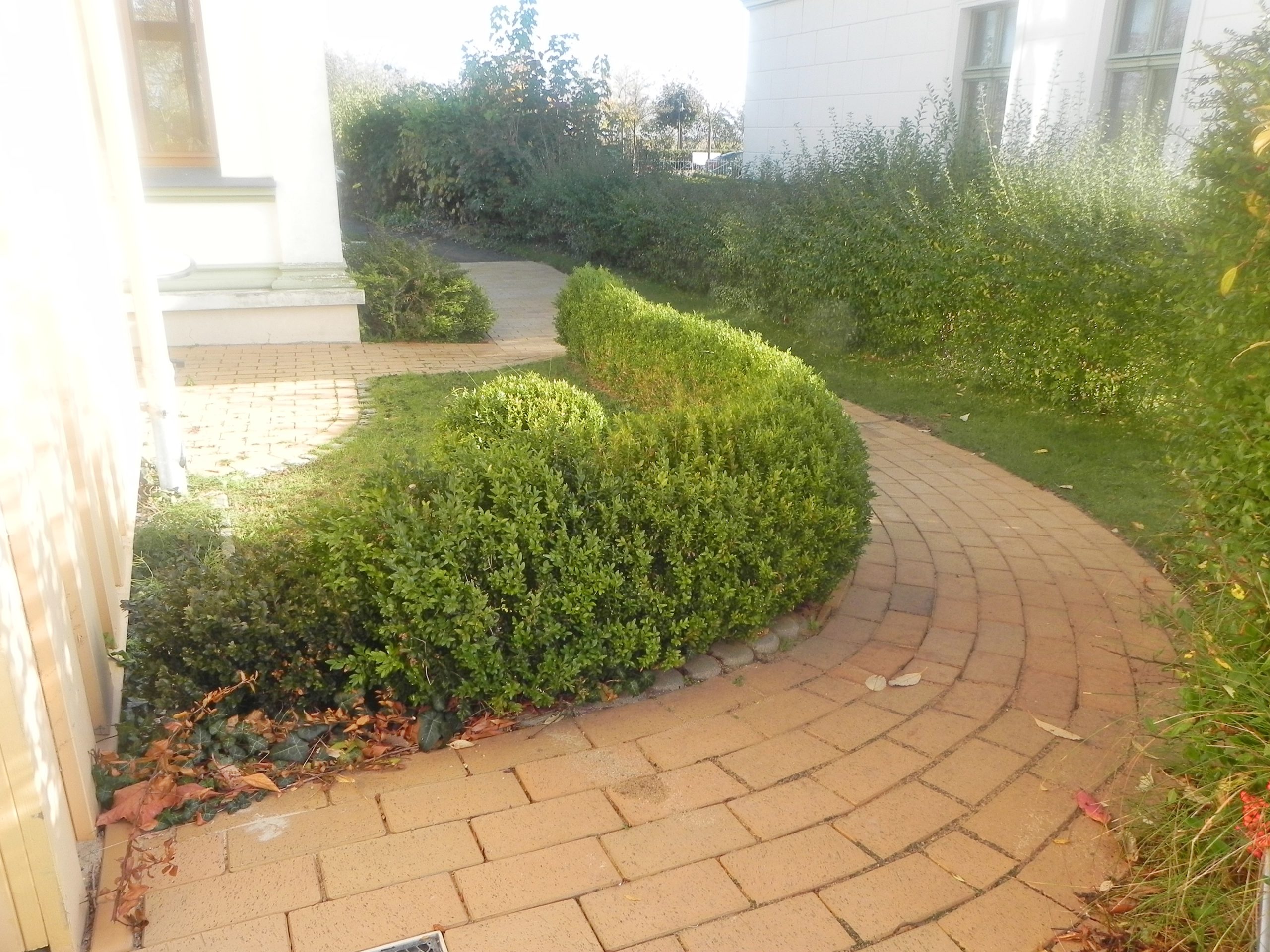 lorem ipsum dolor sit